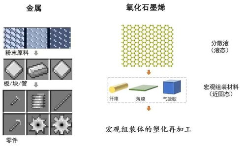 浙江大学高超 许震团队 am 二维材料宏观组装体的塑化再加工